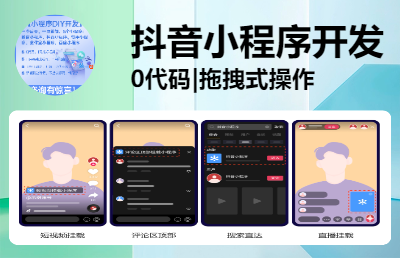抖音小程序DIY代開發(fā)服務(wù)