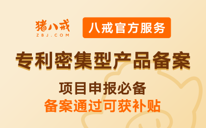 专利密集型产品备案|专利规划备案代理申请项目申报