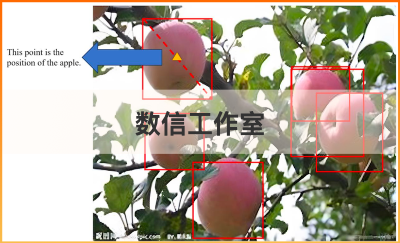 蘋(píng)果成熟度識(shí)別及采摘