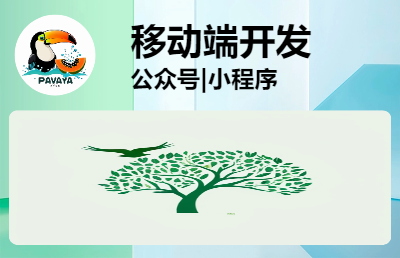 Papaya木瓜公眾號(hào)小程序開(kāi)發(fā)