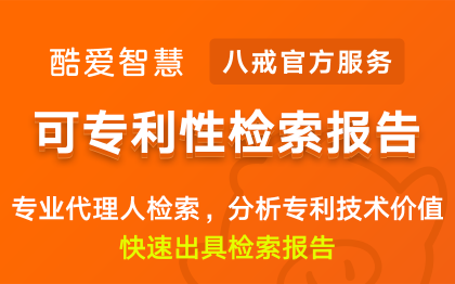 可专利性检索报告|专利查询检索报告服务创新点分析