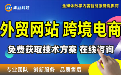 外贸网站建设|跨境电商|抖音电商|网站二次开发