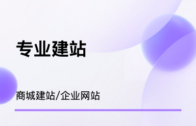 電商/企業(yè)網(wǎng)站/門戶網(wǎng)站