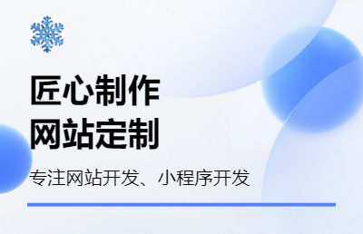 匠心制作专业网站定制开发