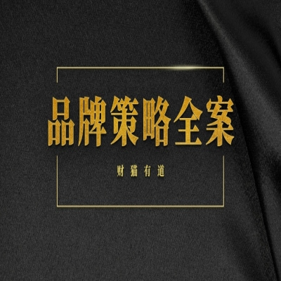 品牌策略全案-策略策劃-策劃-財貓有道