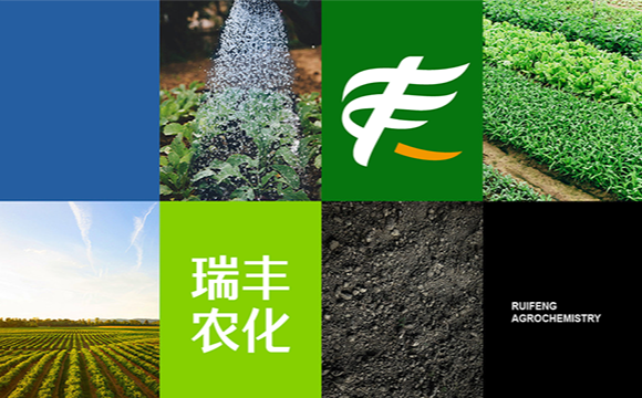 帅丰视觉品牌设计