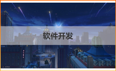 B/S,C/S軟件開發(fā)