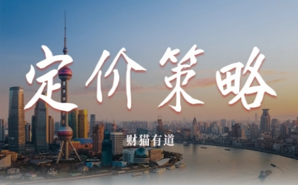 定价策略-策略策划-策划-财猫有道