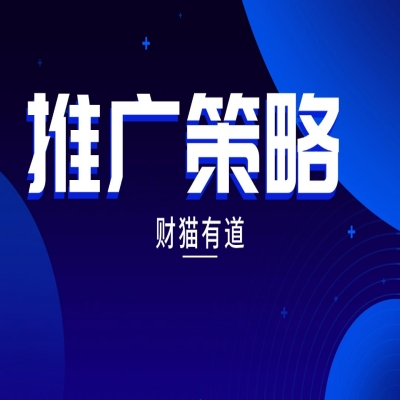 推广策略-策略策划-策划-财猫有道