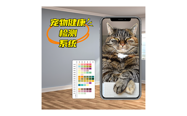上海網(wǎng)潤軟件-專注小程序開發(fā)