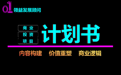 商业策划项目投资计划决策论证品牌公关路演ppt