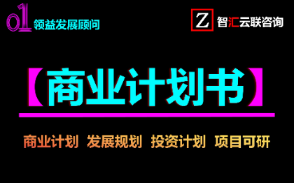 商业策划投资计划书政府汇报项目建议书模式构建报告