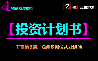 商业计划书投*政府汇报市场调研客户分析数据报告