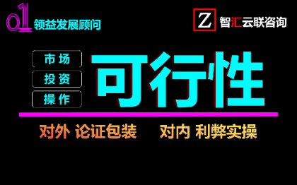 重庆商业策划市场可行性企业投资计划书论证ppt