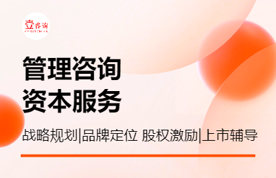战略规划、品牌定位、股权激励、资本服务