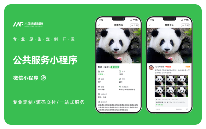 木风软件-国家高新企业15年店