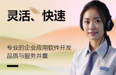 java后端程序開發(fā)