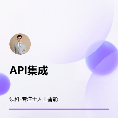 API集成技術(shù)服務(wù)API開(kāi)放API