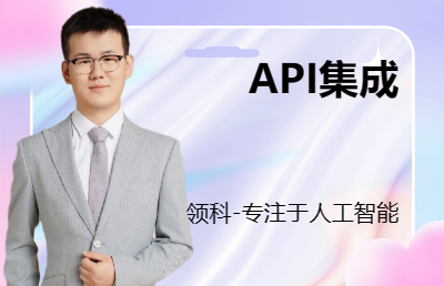 API集成技術(shù)服務(wù)API開放API