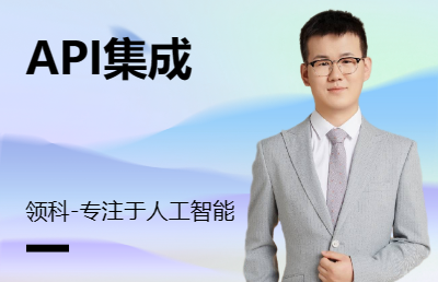 API開發(fā)集成查詢數(shù)據(jù)地圖接口對接支付短信認證