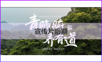 關(guān)于青城山文旅會邀約視頻