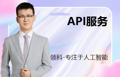 API對接/API集成/API開發(fā)/API接口