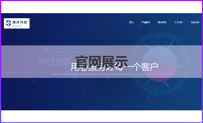 企業(yè)展示網站定制開發(fā)