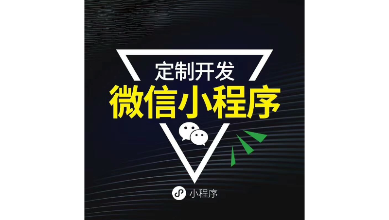 企業(yè)級開發(fā)定制項(xiàng)目 web定制開發(fā)