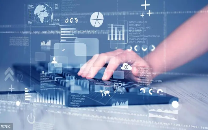 鸭嘴兽20年实体公司百人团队