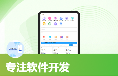 定制开发行业应用软件
