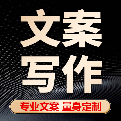 文案写作文章撰写工作总结述职报告汇报材料修改润色