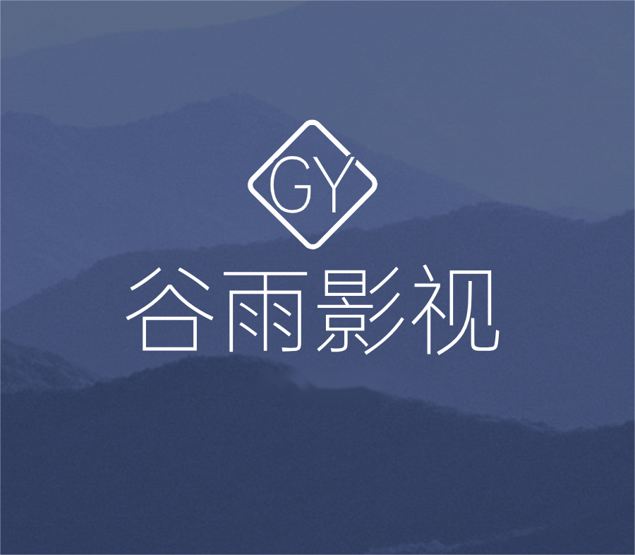 门户网站建立并优化seo