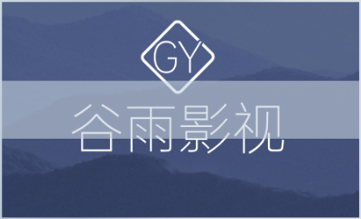 门户网站建立并优化seo