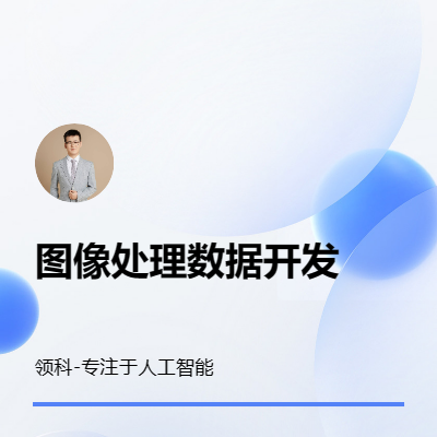 圖像識別技術(shù)開發(fā)人工智能圖像識別定制化在線圖像