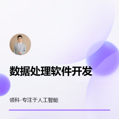 數(shù)據(jù)處理軟件開發(fā)自動化軟件定制大漠網(wǎng)頁exe辦公