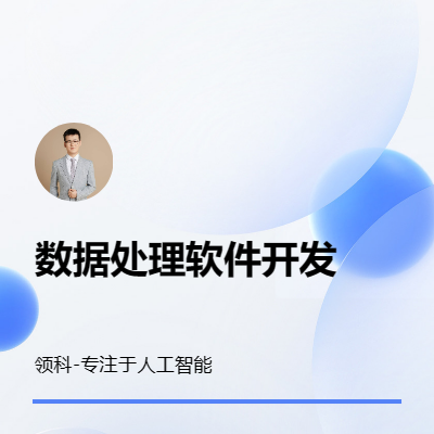 數(shù)據(jù)處理軟件開發(fā)TXT批量處理批處理自動處理表格
