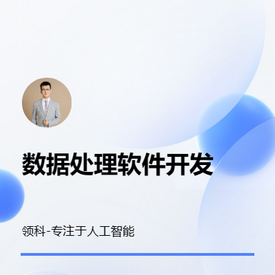 数据处理软件开发TXT批量处理批处理自动处理表格