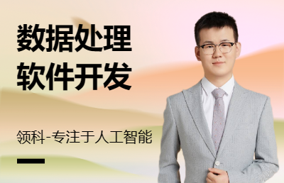 數(shù)據(jù)處理軟件開發(fā)軟件開發(fā)薪資支付軟件