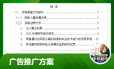 廣告推廣標書，熟悉海外廣告平臺