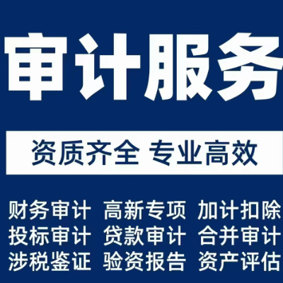 审计报告，税审，评估