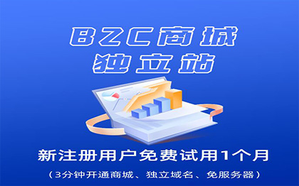 B2C商城独立站建设/SAAS电商商城开发建设