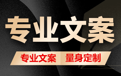 写文章专业文案写作润色工作总结述职报告汇报材料