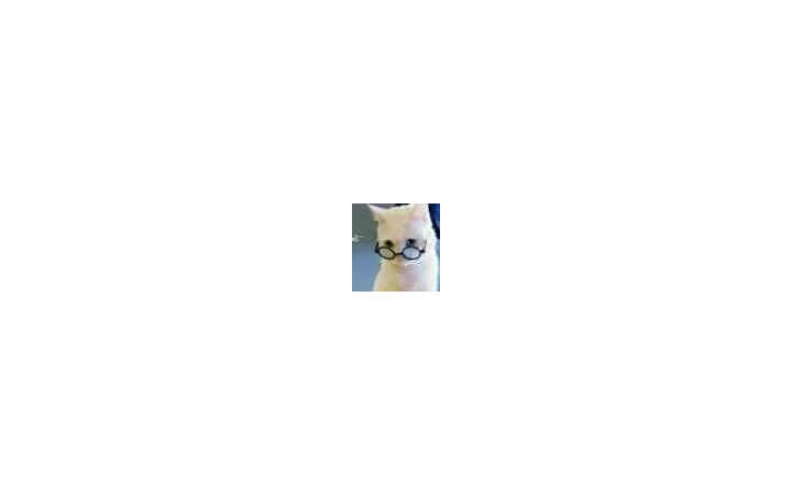翌風晨星
