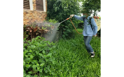 日用报货，病媒生物防治，卫生用杀虫剂，消毒