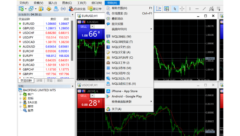 MT4 MT5系统开发 系统 软件源码