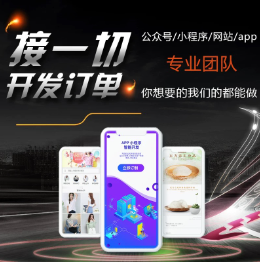 网站<hl>开发</hl>定制APP小程序跨境<hl>电商</hl>外贸系统门户网站