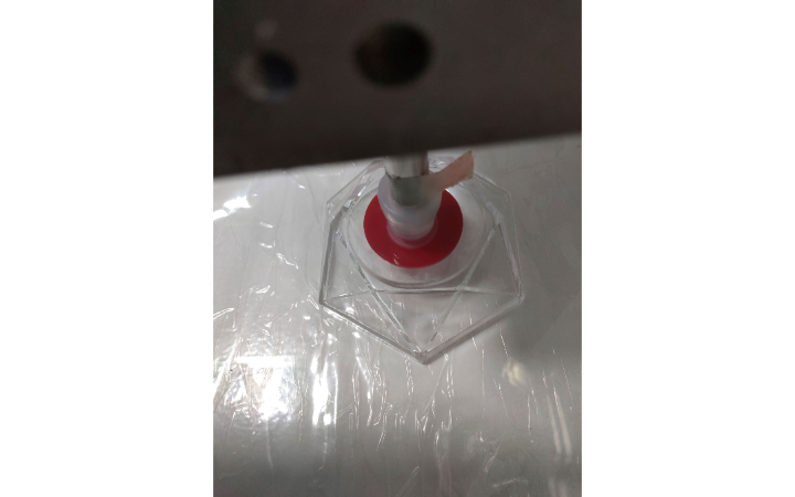 裴洪波