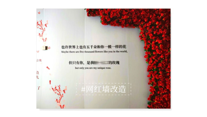 打卡網(wǎng)紅墻廣告改造設(shè)計