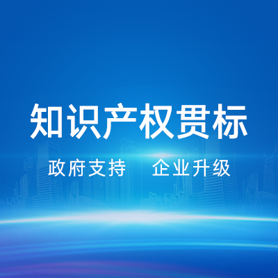 知識產(chǎn)權(quán)貫標(biāo)|項目補貼政策補貼