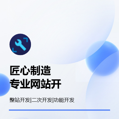 定制开发建设官方制作网站开发